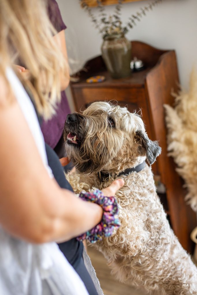 Livia's much loved dog looking into Livia's eyes