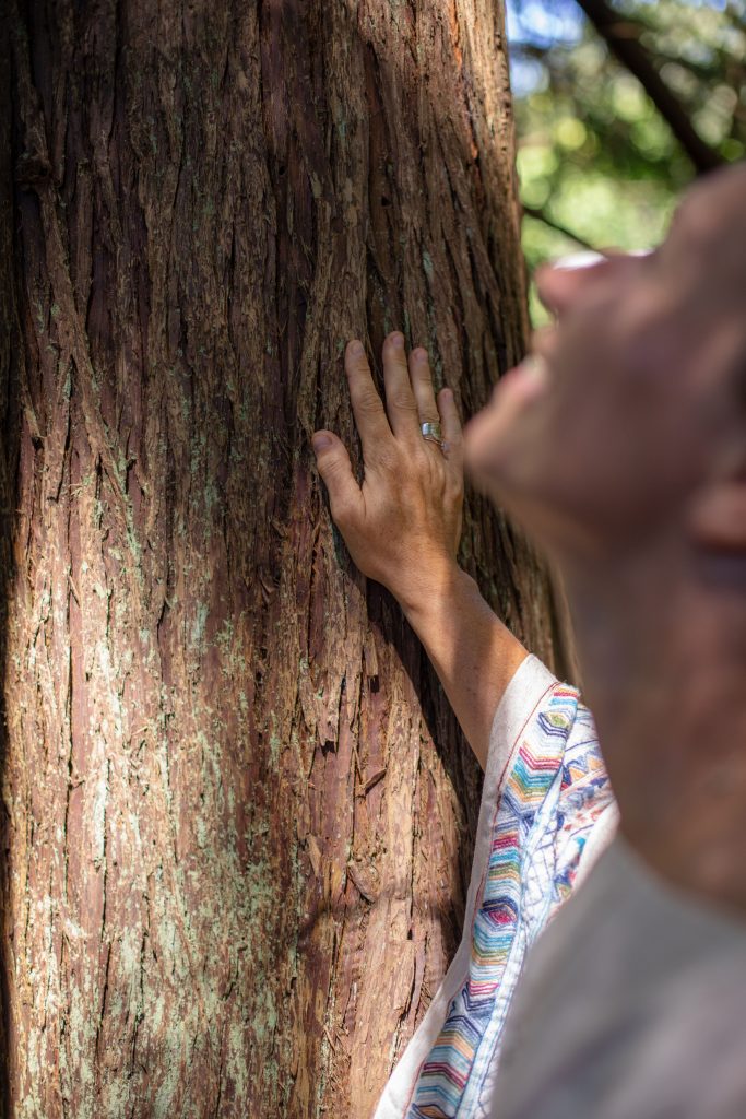 Livia's hand on the bark of a living tree
